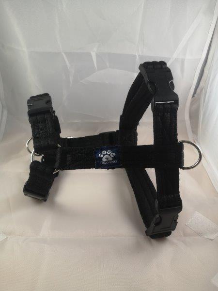 Extra Large Harness