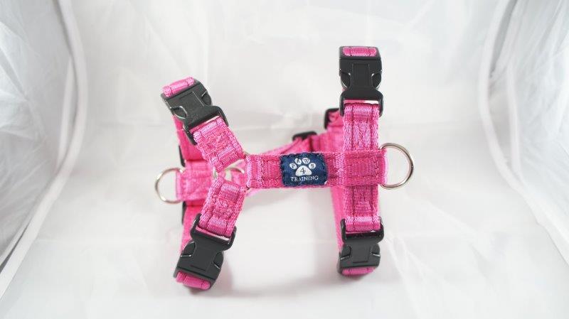 Large Harness