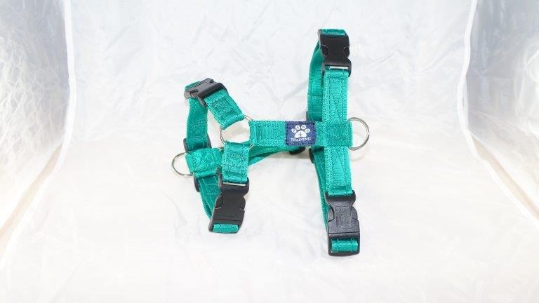 Extra Large Harness