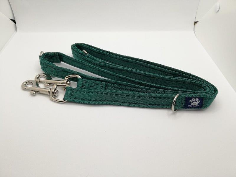 Training Lead