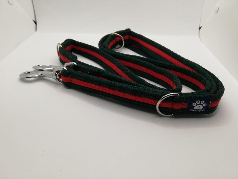 Training Lead