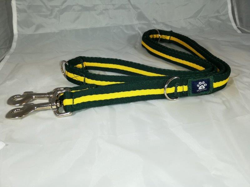 Training Lead