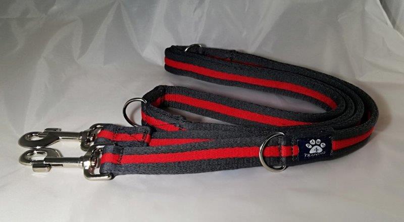 Training Lead