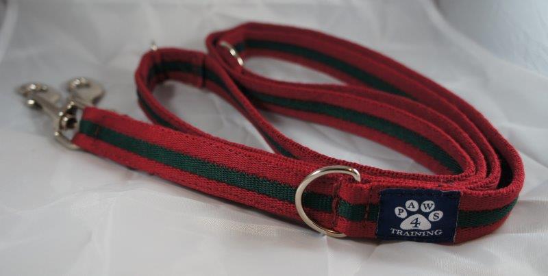 Training Lead