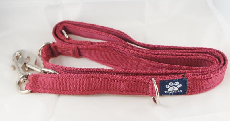 Training Lead