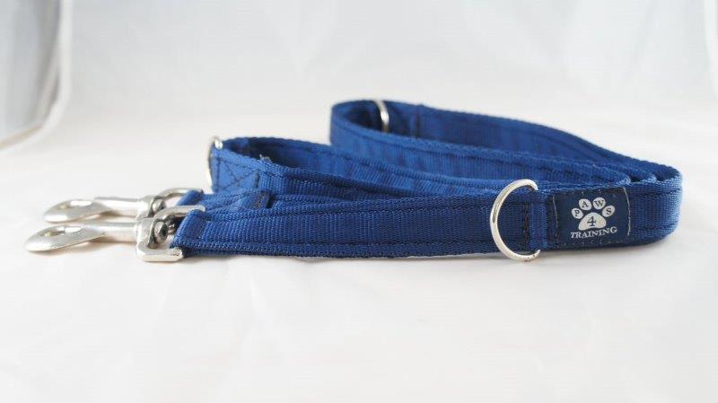 Training Lead