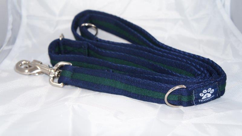 Training Lead