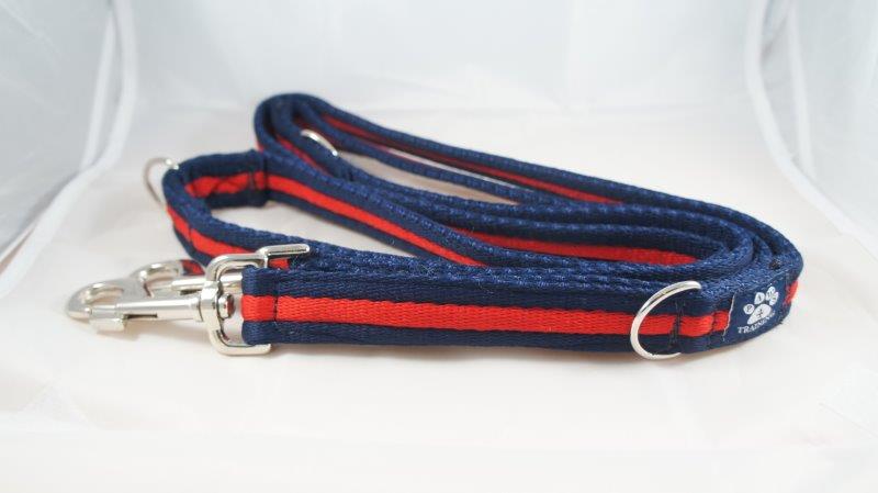 Training Lead