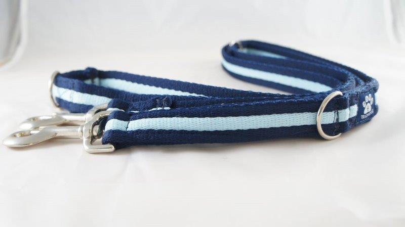 Training Lead