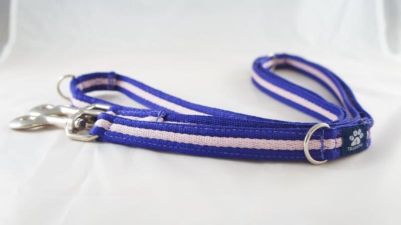 Training Lead