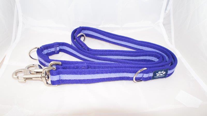 Training Lead