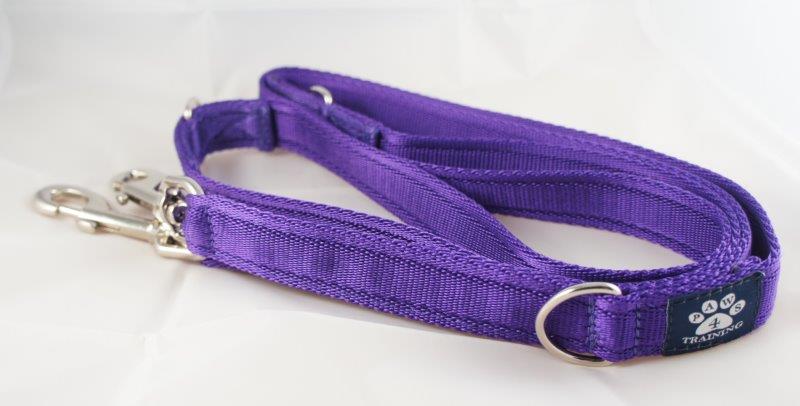 Training Lead