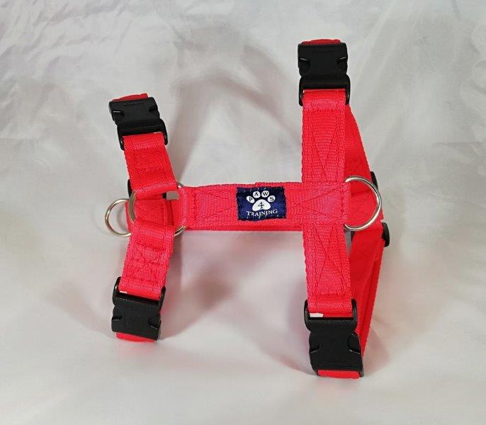 Extra Large Harness