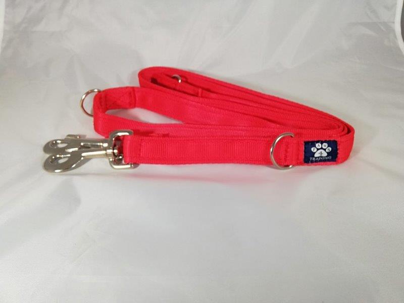Training Lead