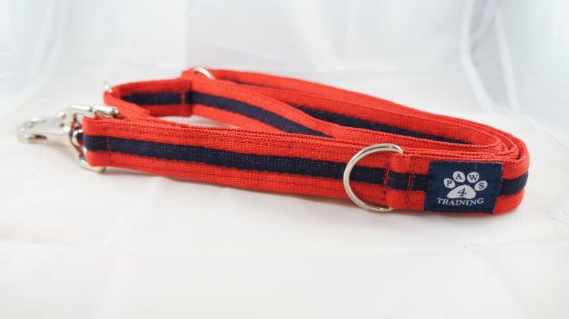 Training Lead