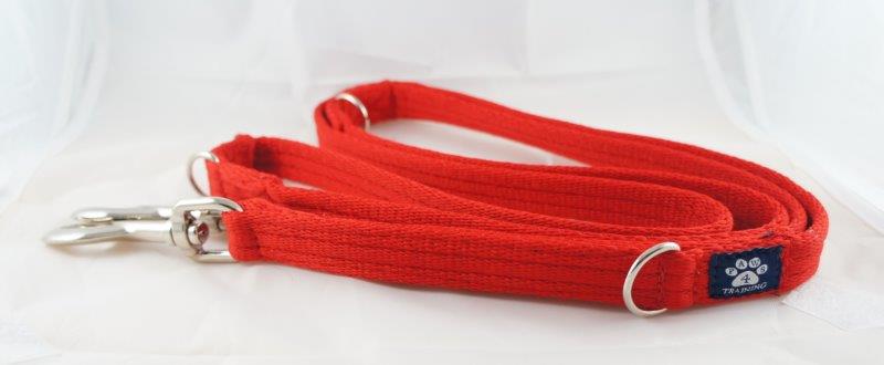 Training Lead