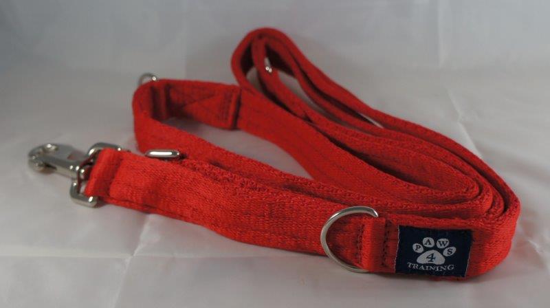 Training Lead