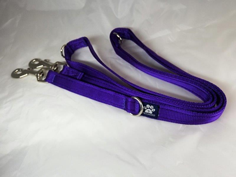 Training Lead