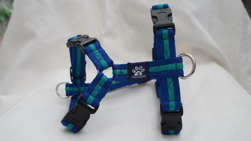 Extra Large Harness