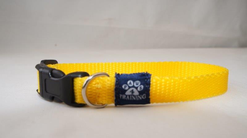 Miniature Collar