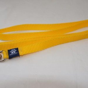 Miniature Standard Lead