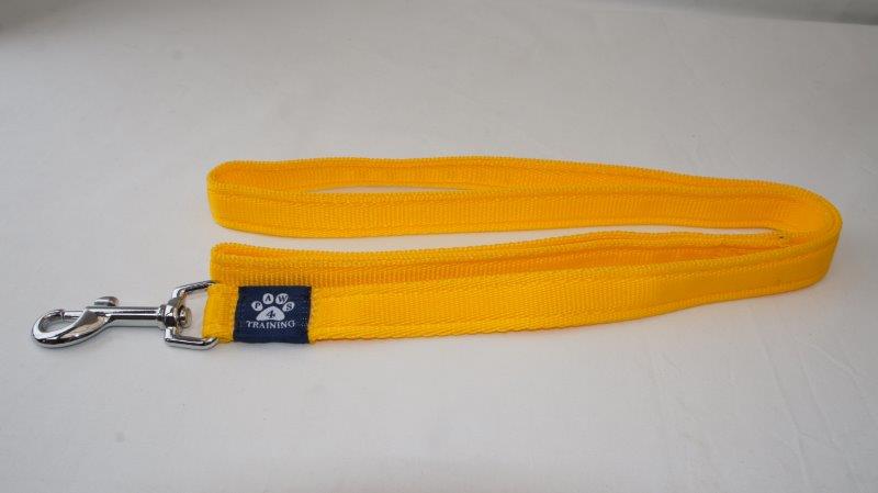 Standard Lead