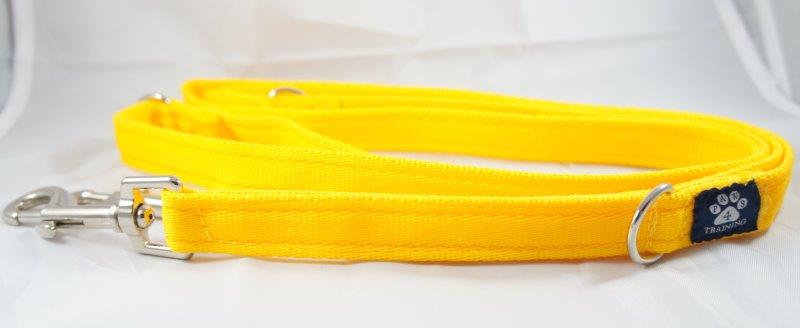 Training Lead